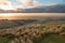 Sheep on highland pasture on sunset