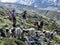 Sheep and hikers share the same trail in the mountains of the Matterhorn in Switzerland.