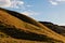 Sheep on the Icelandic hills