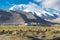 Sheep at Karakul Lake in Pamir Mountains, Akto County,Kizilsu Kirghiz Autonomous Prefecture, Xinjiang, China.