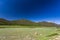 Sheep Lakes at West Horseshoe Park on Trail Ridge Road