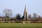 Sheep lambs in field, village church rural scene