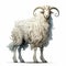 Sheep In The Last Unicorn: Full Body On White Background