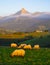 Sheep in lazkaomendi with the Sierra de Aralar and Mount Txindoki in the background.