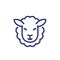 Sheep line icon on white