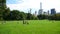 Sheep Meadow in Central Park