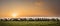 Sheep on meadow with sunset. Highly detailed and realistic concep design illustration