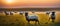 Sheep on meadow with sunset. Highly detailed and realistic concep design illustration