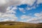 Sheep in the Mongolian Meadowland