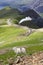 Sheep and mountain railway