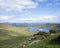 Sheep in mountains near barley lake on beara peninsula