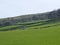 Sheep and new spring lambs grazing in fields surrounded by stone walls and hills in west yorkshire pennine countryside