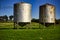 Sheep in a paddock with silos