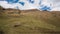 Sheep pasture caucasian mountains. clouds moving Timelapse hyperlapse