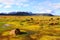 Sheep on pasture near Hvitarnes hut, Iceland