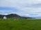 Sheep on the pasture next to amazing Clachtoll Beach