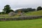 Sheep Pasture, Stone Walls and Barn near Hardraw, Hawes, North Yorkshire, England, UK