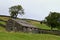 Sheep Pasture, Stone Walls and Barn near Sedbusk, Hawes, North Yorkshire, England, UK