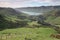 Sheep pastures on the Banks Peninsula, New Zealand