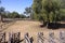 Sheep pens and yards in outback Queensland