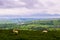 Sheep pictured along the stunning Mam Tor walk, Peak District National Park