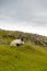 Sheep and picturesque pastures, Rodel, Outer Hebrides