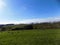 Sheep relaxing, Northumberland UK