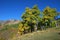 Sheep River Valley in Autumn