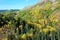 Sheep River Valley in Autumn