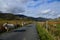 Sheep running on rural lane in Snowdonia