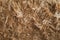 Sheep`s skin with wool. The texture of the sheepskin. woolly brown background. Carpet