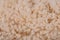 Sheep`s wool. Sheep wool texture lamb background