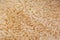 Sheep`s wool. Sheep wool texture lamb background