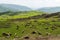 Sheep scattered across a pasture in a mountainous region of Azerbaijan