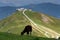 Sheep with Schattberg-Ost mountain cable car station, Saalbach-Hinterglemm, Alps, Austria