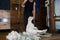 Sheep Shearing - New Zealand