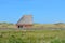 Sheep shelter bungalow building in national park De Muy in the Netherlands on Texel