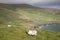Sheep on Slea Head, Dingle Peninsula