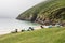 Sheep sleep on green grass, Fog over ocean surface. Keem beach, Achill island, county Mayo, Ireland. Irish landscape. Popular