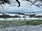 Sheep in the snow on the quantock hills in somerset