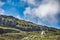 Sheep standing on the hill, surrounded by Lewisian gneiss rocks