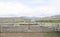 Sheep in Stockyards, Otago, New Zealand