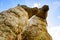 Sheep Straw Puppet with Blue Sky at Chiang Mai Province