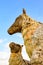 Sheep Straw Puppet with Blue Sky at Chiang Mai Province