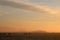 Sheep at sunrise, geese overhead in flight