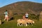 Sheep and tourists at Castlerigg ancient standing stones near Keswick,Cumbria (Lake District