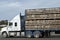 Sheep transport vehicle with full load