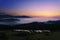 Sheep at twilight in Saibi mountain