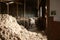 sheep waiting overnight to be shorn in an old traditional timber shearing shed on a family farm in rural Victoria, Australia