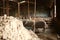 sheep waiting overnight to be shorn in an old traditional timber shearing shed on a family farm in rural Victoria, Australia